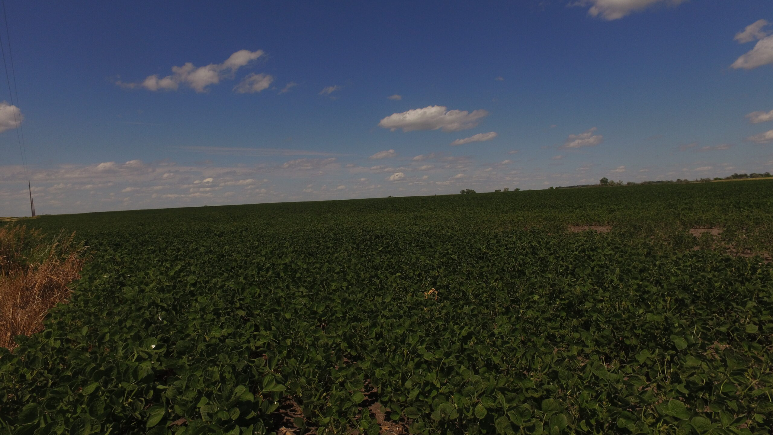 Nystrom Road Cropland Dakota Land Co.