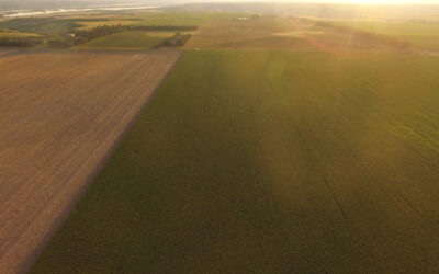 Nystrom Road Cropland